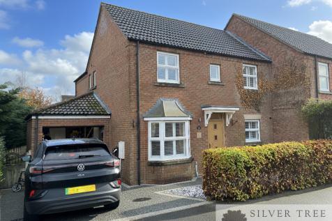 Gemini_Generated_Image_b0ha70b0ha70b0ha