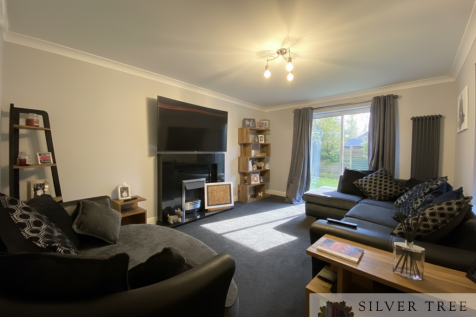 Gemini_Generated_Image_b110z7b110z7b110 (1)