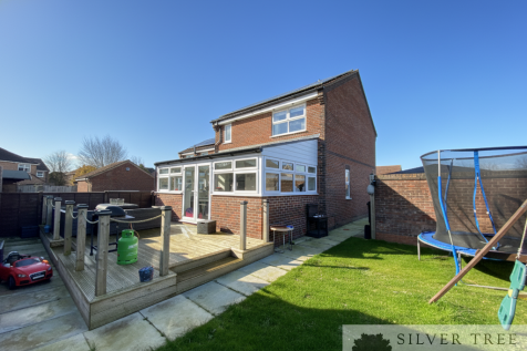 Gemini_Generated_Image_so8jdtso8jdtso8j