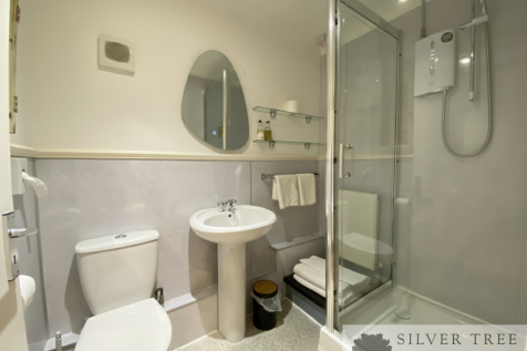 Gemini_Generated_Image_am49qjam49qjam49