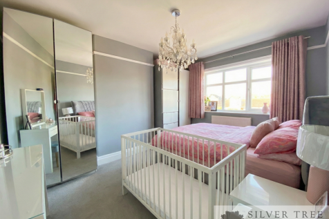 Gemini_Generated_Image_ec5uh7ec5uh7ec5u