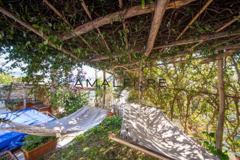 Property Image 62