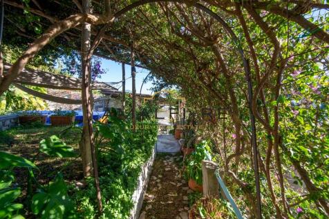 Property Image 69