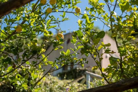 Property Image 56
