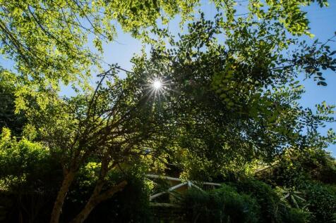 Property Image 63