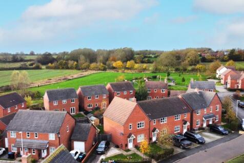 Aerial Shot I