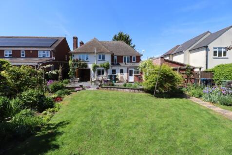 Back Garden I