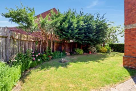 Back-Garden