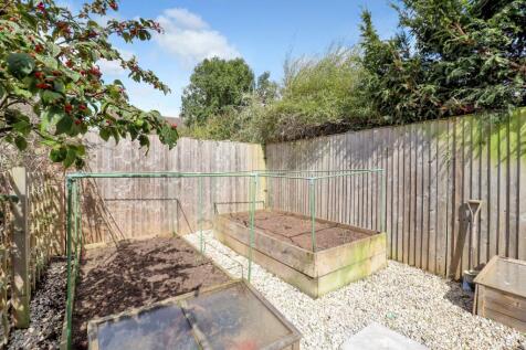 Vegetable-Plot