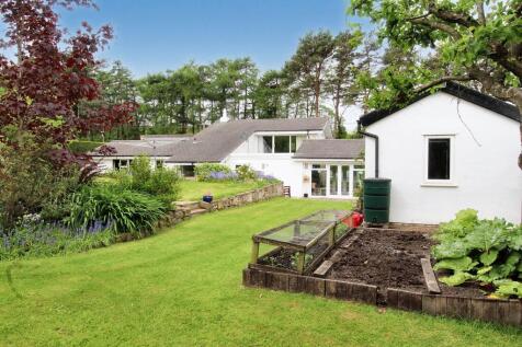 Property Image 39