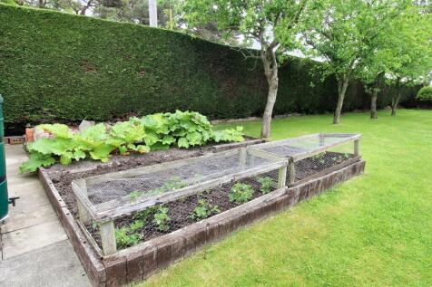 Property Image 54