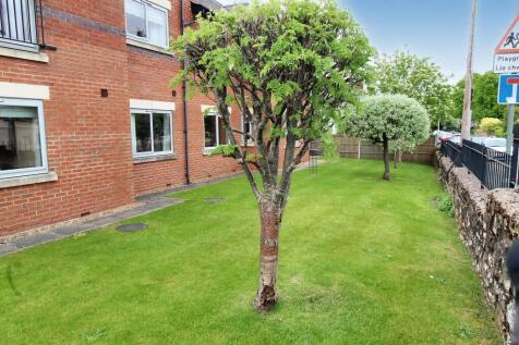 Property Image 14