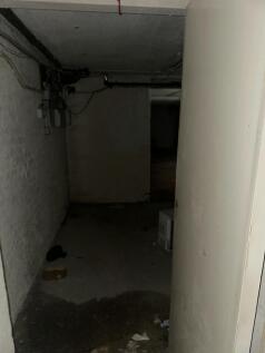 IMG_8772.jpg