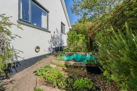 Vegetable garden