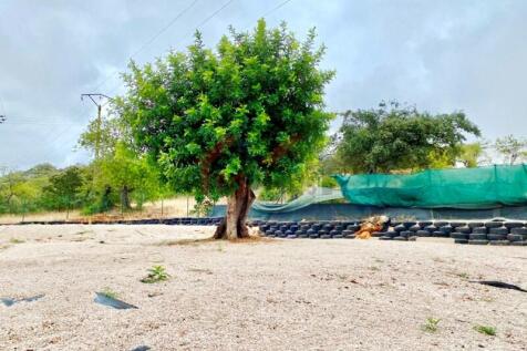 Exterior - 4 bedroom villa with large plot - Sao Bras de Alportel