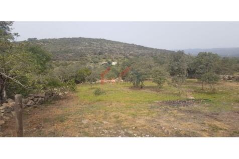 Ground