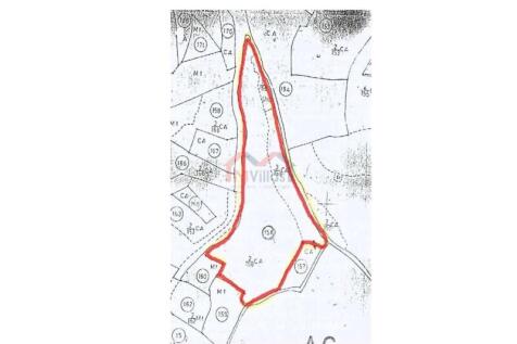 Plan of the plot - Estoi