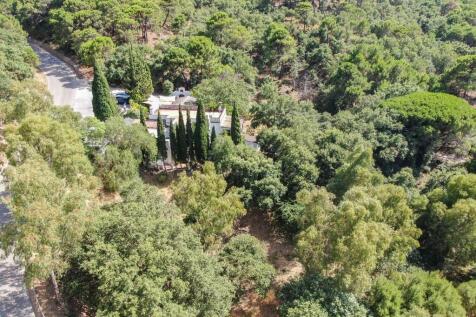 Property Image 39