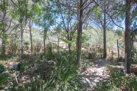 Property Image 47