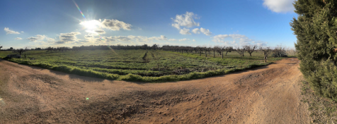 land