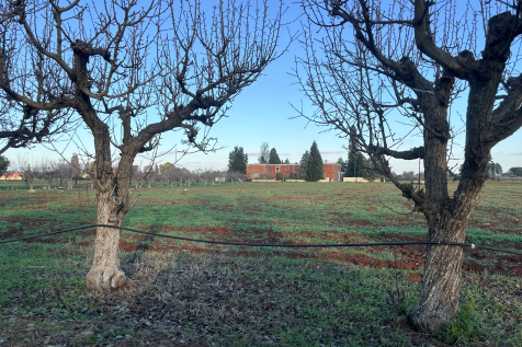 from the fields