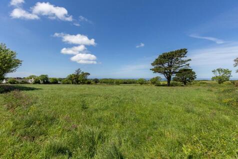 Field