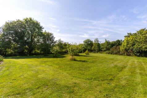 Field/Garden