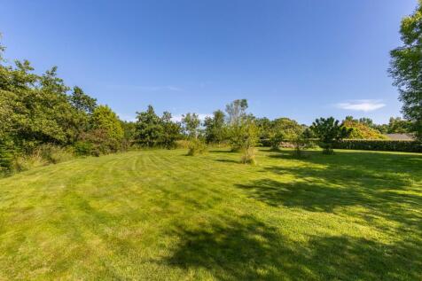 Field/Garden