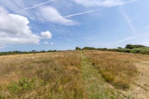Field