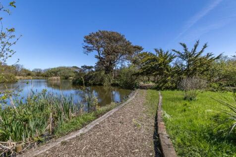 Nature Walk