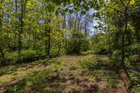 Woodland