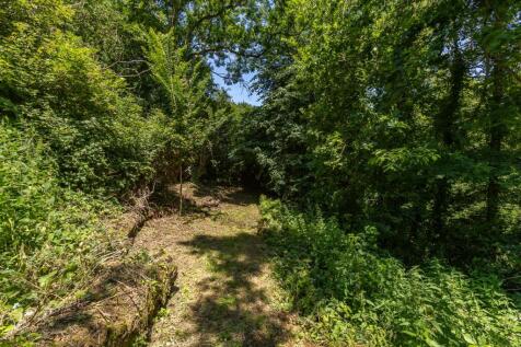 Woodland