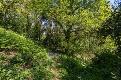 Woodland