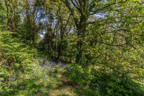 Woodland