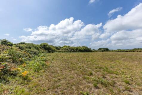Field