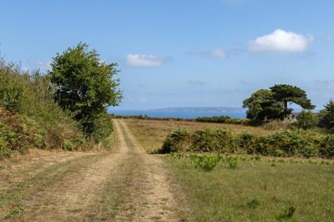 Field