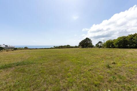 Field