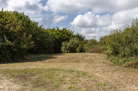 Field