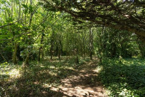 Woodland