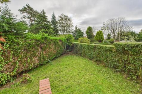 Back Garden (1)