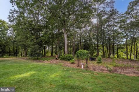 Property Image 65