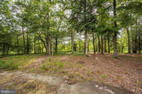 Property Image 68
