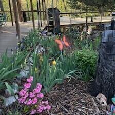 Property Image 51