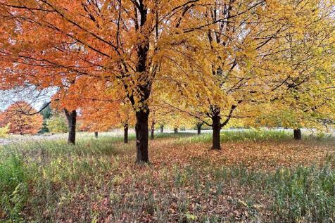Property Image 101