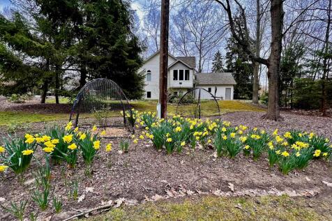 Property Image 56