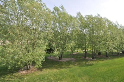 Property Image 65