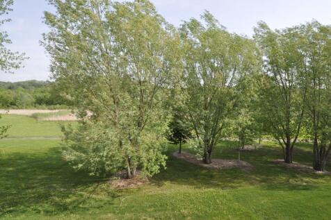 Property Image 66