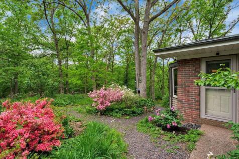 Property Image 42
