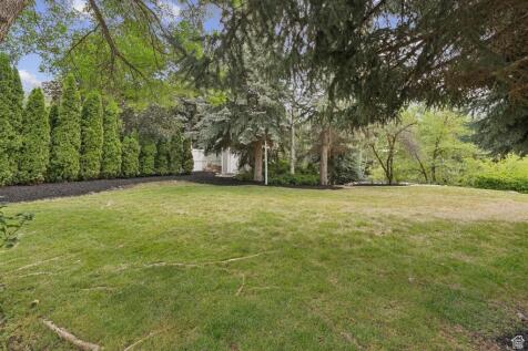 Property Image 62
