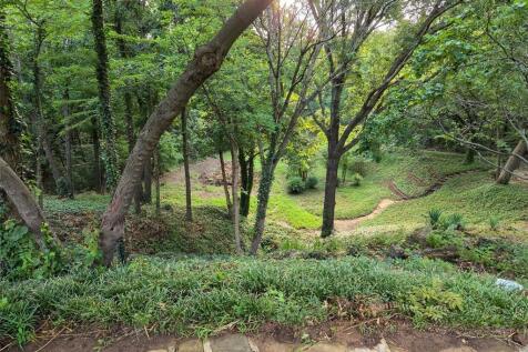 Property Image 39